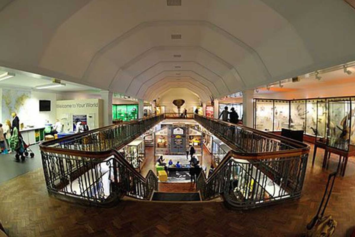 Bolton Museum Bluegyp Ltd